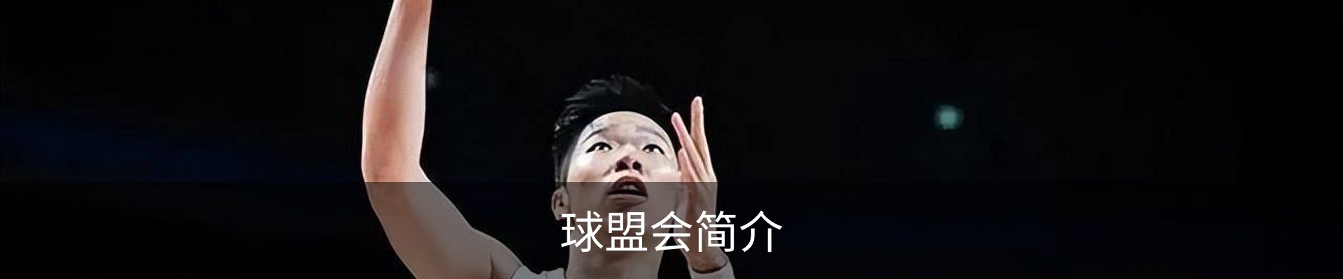 球盟会简介