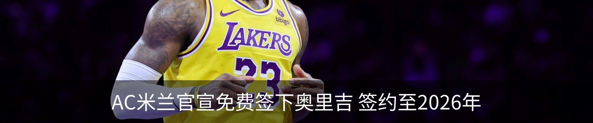 新闻动态